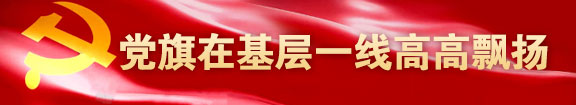 黨旗在基層一線高高飄揚
